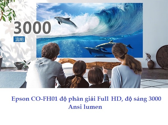 may-chieu-epson-fh01-1